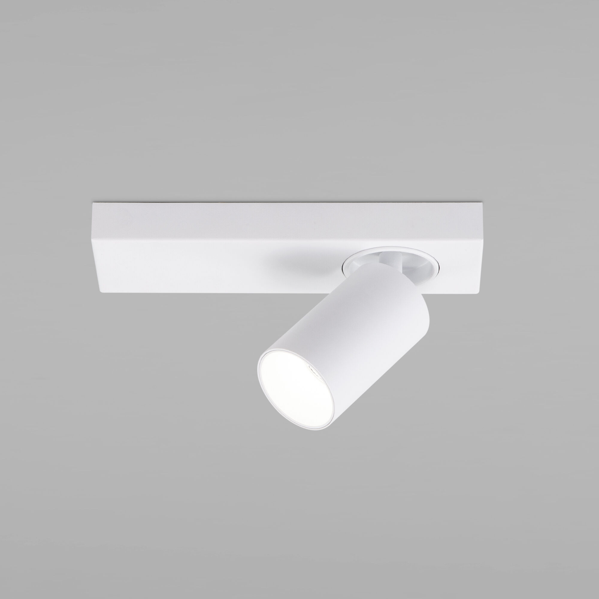 Светодиодный светильник Eurosvet Flank a059096 20139/1 LED белый фото