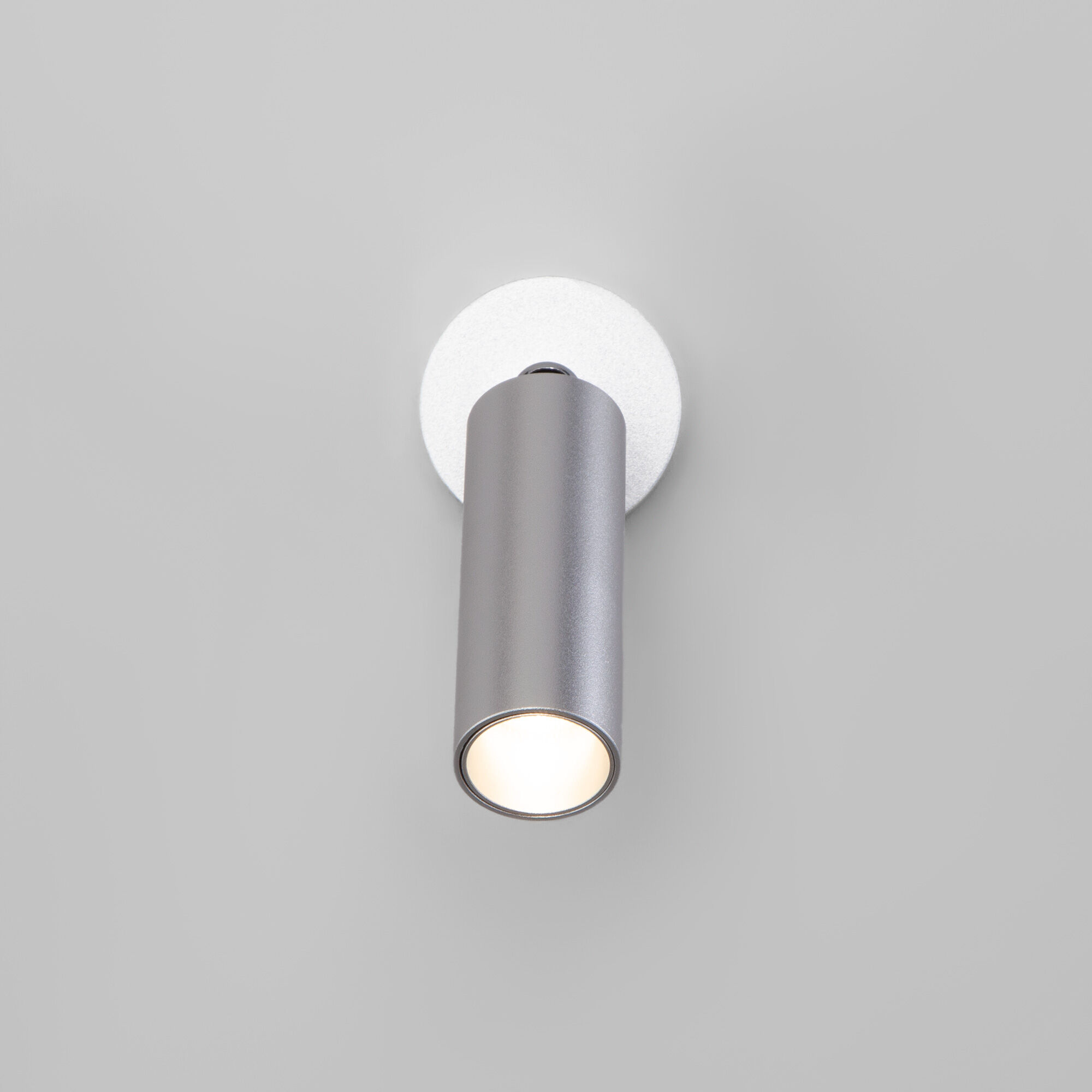 Светодиодный светильник Eurosvet Pin a058950 20133/1 LED серебро фото