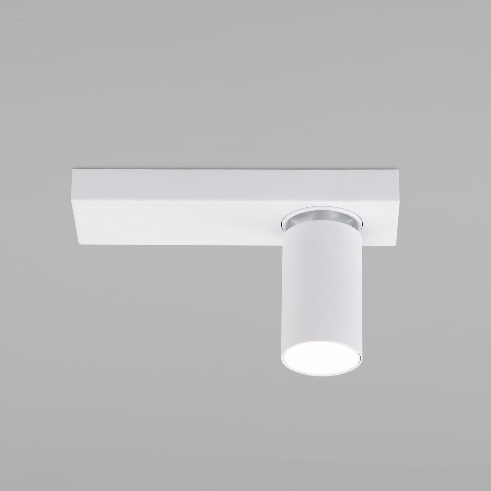 Светодиодный светильник Eurosvet Flank a059096 20139/1 LED белый фото