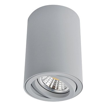 Точечный светильник Sentry A1560PL-1GY Arte Lamp фото